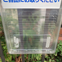 画像305