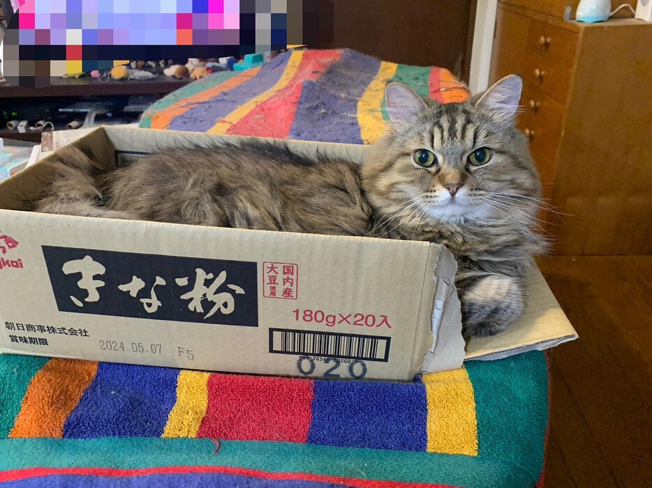 画像316