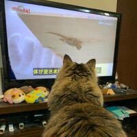 画像401