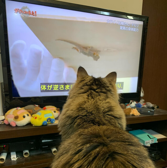 画像401